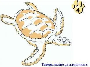 Як намалювати морську черепаху, поетапно (морська черепаха) Як намалювати морську черепаху, поетапно