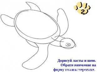 Як намалювати морську черепаху, поетапно (поетапно) Як намалювати морську черепаху, поетапно