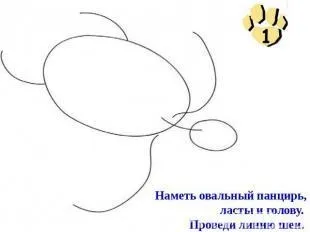 Як намалювати морську черепаху, поетапно (морська черепаха) Як намалювати морську черепаху, поетапно