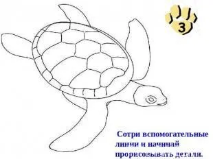 Як намалювати морську черепаху, поетапно (намалювати) Як намалювати морську черепаху, поетапно