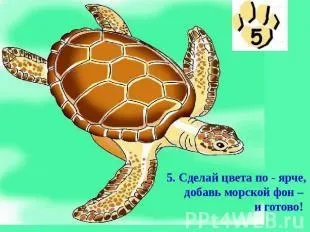 Як намалювати морську черепаху, поетапно (черепаху) Як намалювати морську черепаху, поетапно