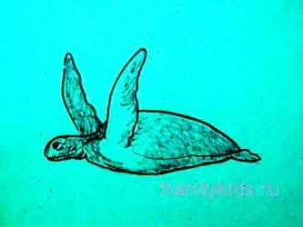Як намалювати морську черепаху (черепаху) Як намалювати морську черепаху