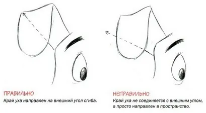 Як намалювати голову собаки, flatonika (flatonika) Як намалювати голову собаки, flatonika