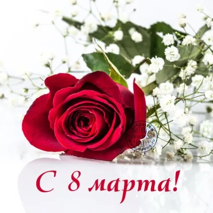 Як намалювати до 8 березня на листівці троянди, квіти, як зробити поетапно (листівка) Як намалювати до 8 березня на листівці троянди, квіти, як зробити поетапно