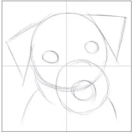 Як намалювати собачу голову з мордою, голову собаки поетапно олівцем (поетапність) Як намалювати собачу голову з мордою, голову собаки поетапно олівцем