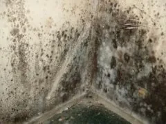 Як осушити сирі стіни