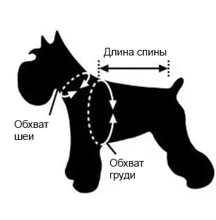 Як визначити розмір