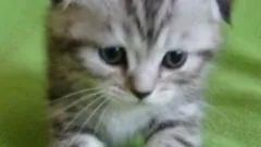 Як відучити одного курити - здоров'я і медицина - інше (куріння) Як відучити одного курити - здоров'я і медицина - інше