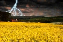 Яке свято сьогодні 30 липня 2017 свято дня сьогодні вУкаіни, православний, народний, (дитячі свята) Яке свято сьогодні 30 липня 2017 свято дня сьогодні вУкаіни, православний, народний,
