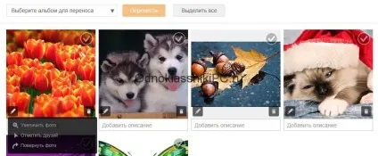Як перенести фото в однокласники з комп'ютера (перенести) Як перенести фото в однокласники з комп'ютера