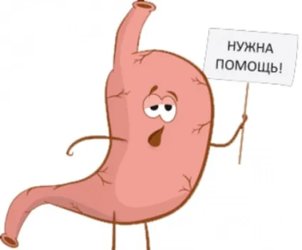 Як харчуватися при розладі шлунка корисні поради і меню (корисні) Як харчуватися при розладі шлунка корисні поради і меню