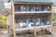 Як побудувати вольєр для фазанів своїми руками як зробити самому - господарська будівля своїми (фазанів) Як побудувати вольєр для фазанів своїми руками як зробити самому - господарська будівля своїми