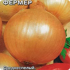 Як посадити лук насінням, городник