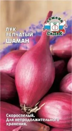Як посадити лук насінням, городник