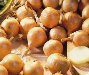 Як посадити лук насінням, городник