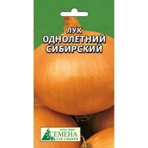 Як посадити лук насінням, городник