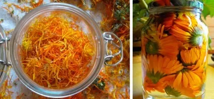 Як полоскати горло настоянкою календули (полоскати) Як полоскати горло настоянкою календули