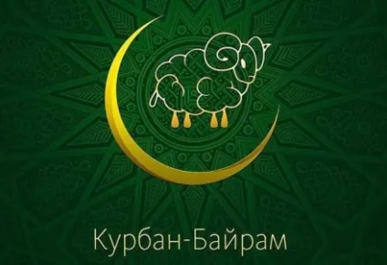 Як правильно робити дагват