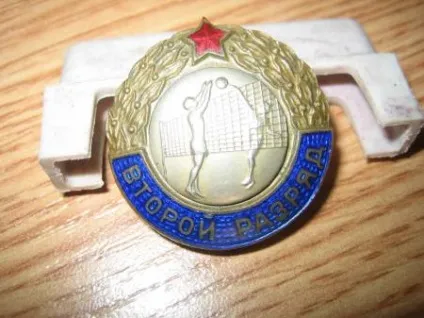 Як отримати спортивний розряд з волейболу - quaer (волейболу) Як отримати спортивний розряд з волейболу - quaer