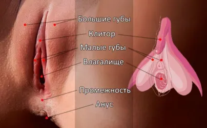 Як правильно вводити член в піхві - онлайн-журнал для чоловіків - секс, спорт, стиль життя (лежить) Як правильно вводити член в піхві - онлайн-журнал для чоловіків - секс, спорт, стиль життя