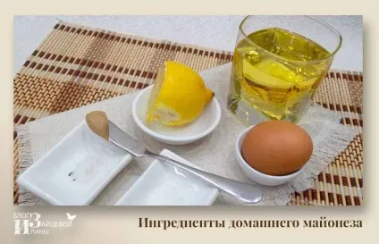 Як приготувати майонез в домашніх умовах блендером (блендером) Як приготувати майонез в домашніх умовах блендером