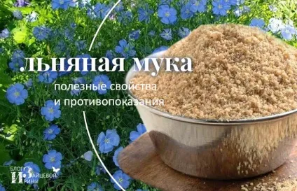 Як приготувати майонез в домашніх умовах блендером (блендером) Як приготувати майонез в домашніх умовах блендером