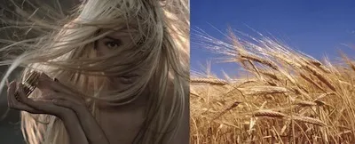 Як отримати пшеничний колір волосся, hair colour модний колір волосся, догляд за волоссям, відтінки фарб (колір) Як отримати пшеничний колір волосся, hair colour модний колір волосся, догляд за волоссям, відтінки фарб
