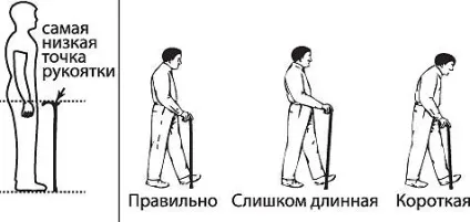 Як підібрати і правильно використовувати засоби реабілітації - милиці, канадки та тростини (ип Шацька О.В.) Як підібрати і правильно використовувати засоби реабілітації - милиці, канадки та тростини