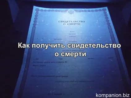 Як отримати свідоцтво бортпровідника (отримати) Як отримати свідоцтво бортпровідника