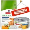 Як продовжити життя домашньої кішки