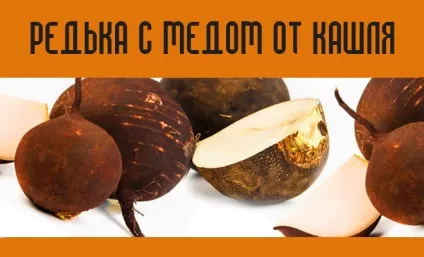Як застосовувати алое з медом, протипоказання і лікувальні властивості (застосовувати) Як застосовувати алое з медом, протипоказання і лікувальні властивості
