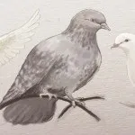 Як малювати птахів сову папуги лебедя голуба (птахів) Як малювати птахів сову папуги лебедя голуба