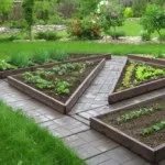 Як зробити і розташувати грядки на дачі планування і оформлення (розташування грядок) Як зробити і розташувати грядки на дачі планування і оформлення