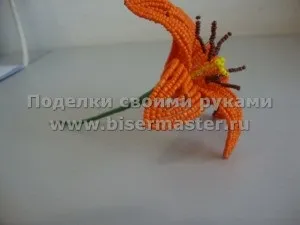 Як зробити з бісеру лілію королівську, бісер майстер (з природного матеріалу) Як зробити з бісеру лілію королівську, бісер майстер