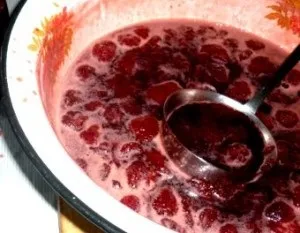 Як зробити джем і мармелад шістсот рад (конфітюр) Як зробити джем і мармелад шістсот рад