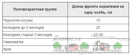 Як зробити годівниці для свиней і поросят своїми руками креслення і фото бункерних і автоматичних (поросят) Як зробити годівниці для свиней і поросят своїми руками креслення і фото бункерних і автоматичних