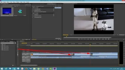 Як зробити стоп кадр в adobe premiere, відеомонтаж для початківців