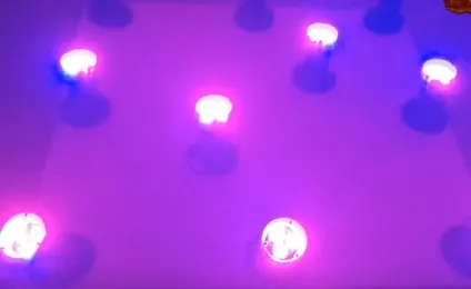Як зробити підсвічування для розсади своїми руками (руками) Як зробити підсвічування для розсади своїми руками