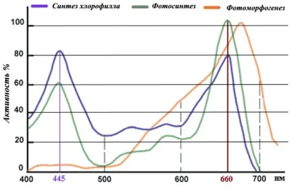 Як зробити підсвічування для розсади своїми руками (своїми) Як зробити підсвічування для розсади своїми руками