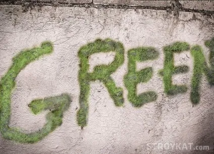 Як зробити малюнок з моху - вироби своїми руками - природні вироби (малюнок) Як зробити малюнок з моху - вироби своїми руками - природні вироби