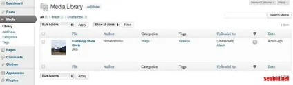 Як створити довільну таксономию на сайті wordpress (wordpress таксономія) Як створити довільну таксономию на сайті wordpress