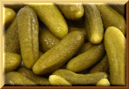 Як солити на зиму огірки в бочці, ода кулінарії (огірки) Як солити на зиму огірки в бочці, ода кулінарії