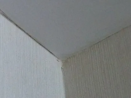 Як за допомогою плінтуса приховати стик стіни і стелі фото і відео (яких) Як за допомогою плінтуса приховати стик стіни і стелі фото і відео