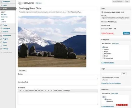Як створити довільну таксономию на сайті wordpress (створити) Як створити довільну таксономию на сайті wordpress