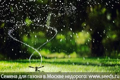 Яку газонну траву посадити якщо у вас тінь на ділянці тіньовитривалий газон (надлишку нестачі вологи) Яку газонну траву посадити якщо у вас тінь на ділянці тіньовитривалий газон