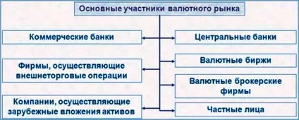 Як влаштований валютний ринок форекс схема роботи біржі і брокерських компаній (трейдинг) Як влаштований валютний ринок форекс схема роботи біржі і брокерських компаній