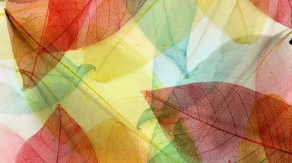 Як вести полеміку і нейтралізувати виверти - «все до дрібниць» (може стати прийомом) Як вести полеміку і нейтралізувати виверти - «все до дрібниць»