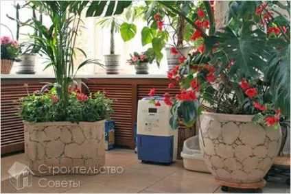 Як вибрати осушувач повітря - вибираємо осушувач повітря для квартири (робочого бака пристрою) Як вибрати осушувач повітря - вибираємо осушувач повітря для квартири
