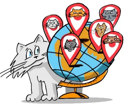 Як вибрати кошеня