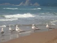 Як ви провели літо!